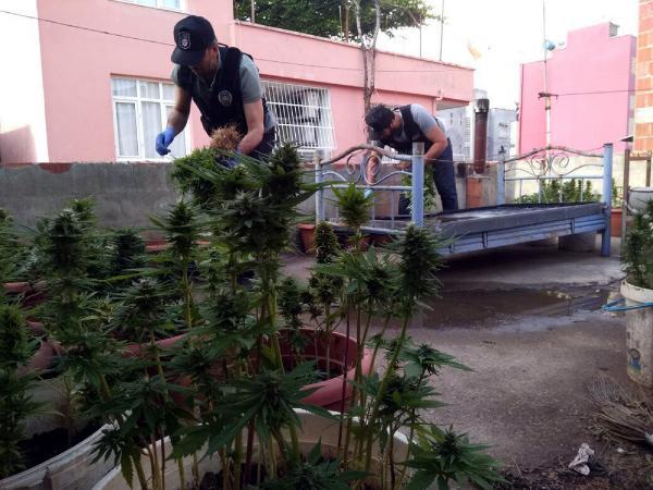 Uyuşturucu taciri: Kaliteli mal yoktu kendim ürettim