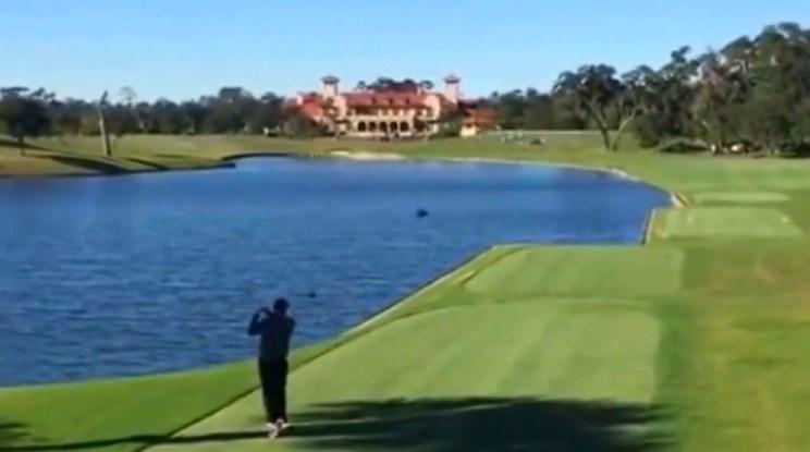 Golfçü ördeği vurdu