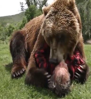 Yabani hayvanlar nasıl evcilleşir