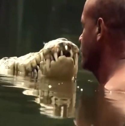 Yabani hayvanlar nasıl evcilleşir