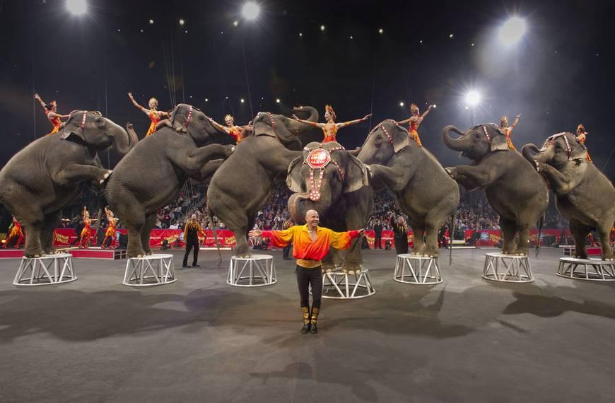 ABD'nin 146 yıllık sirki kapandı