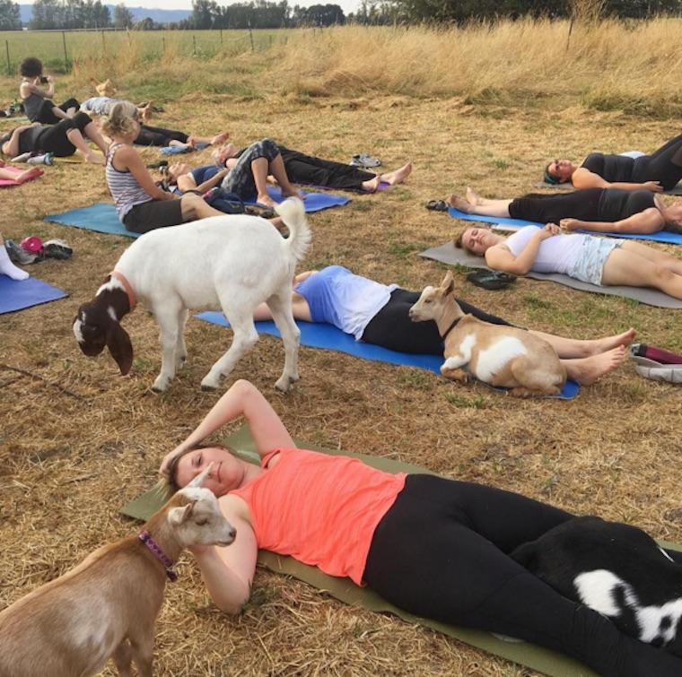 ABD'de yeni yoga modası
