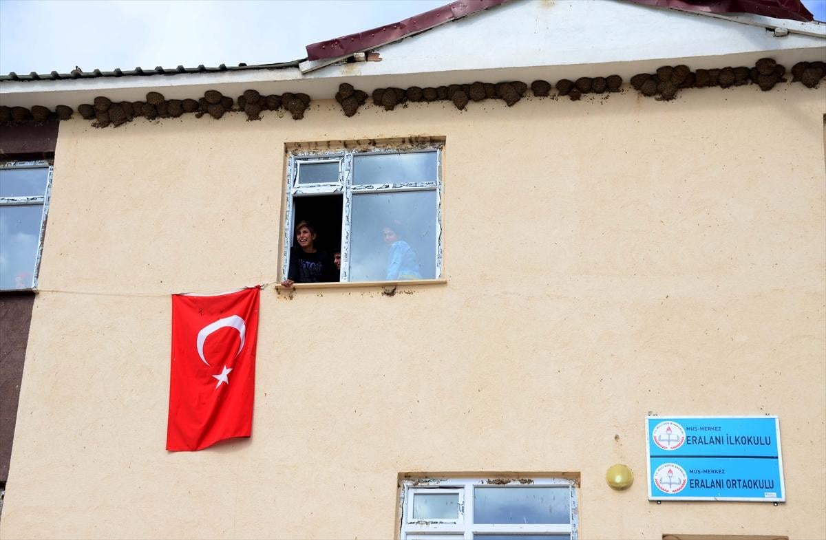 Muş'ta okula yuva kuran kırlangıçlar
