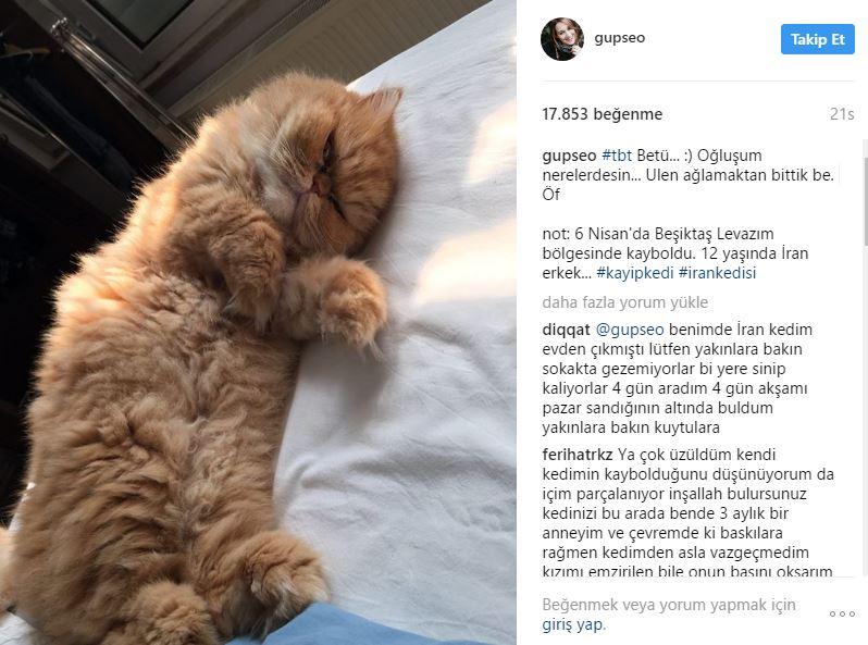 Gupse Özay'a takipçisinden çirkin mesaj