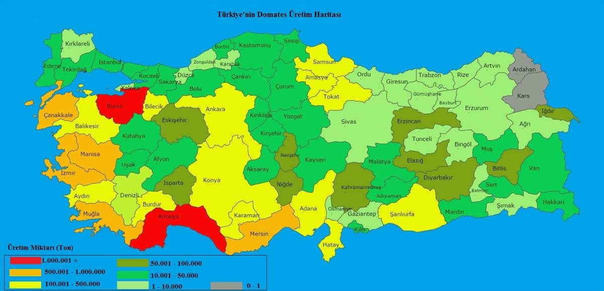 Domatesin en çok üretildiği 5 il