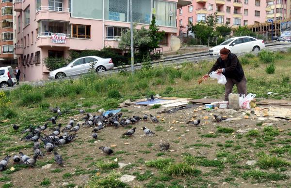 85 yaşında güvercin besleyen İbrahim Amca