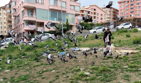 85 yaşında güvercin besleyen İbrahim Amca