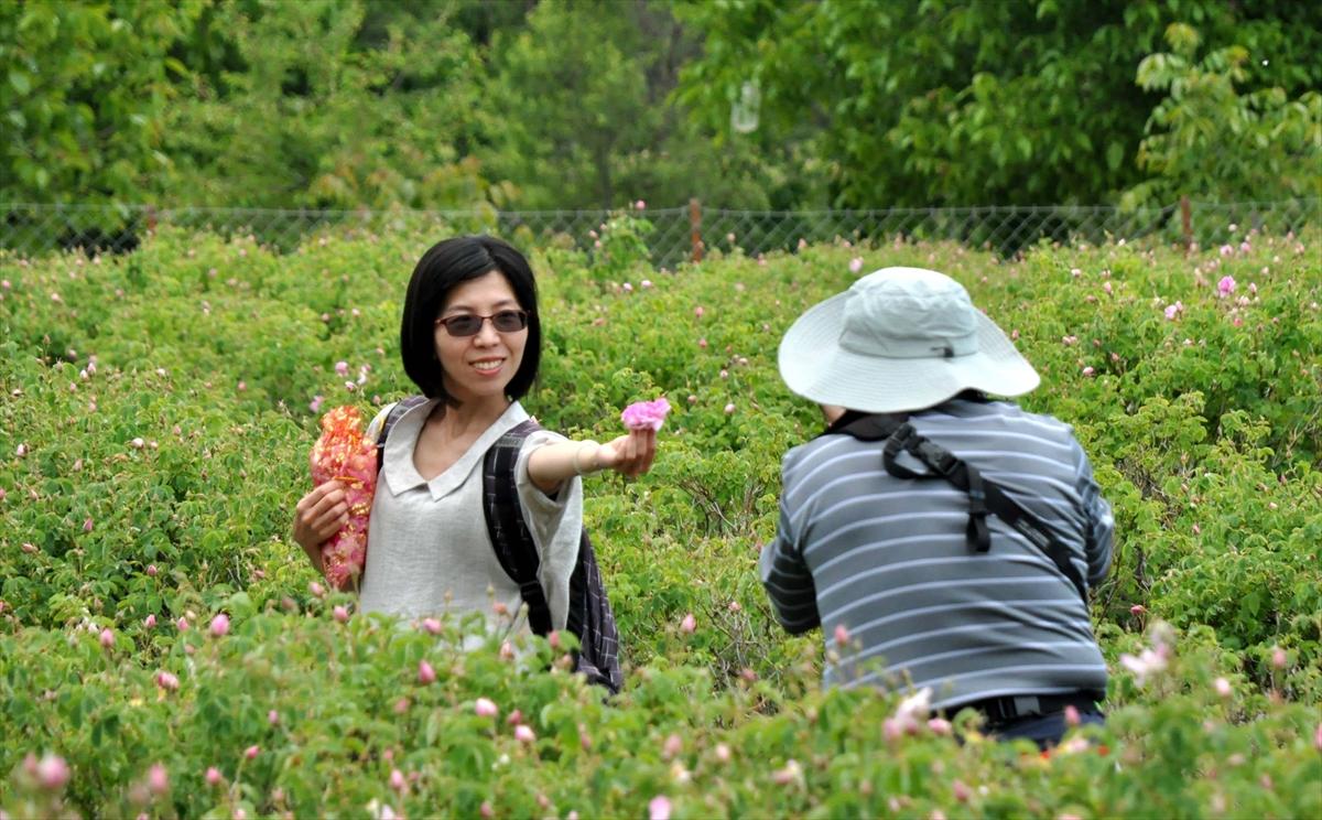 Gül hasadına Uzakdoğu'dan 'yakın' ilgi