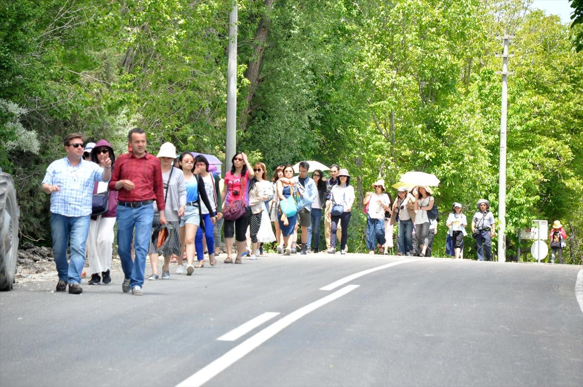 Gül hasadına Uzakdoğu'dan 'yakın' ilgi