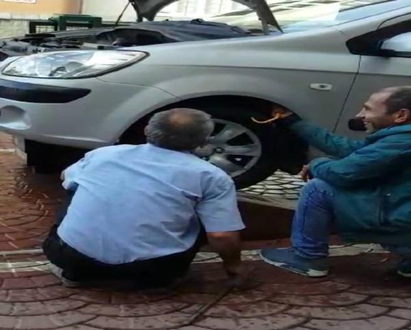 Bartın'da otomobile giren yılan çıkarıldı