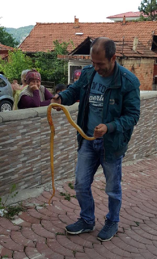 Bartın'da otomobile giren yılan çıkarıldı