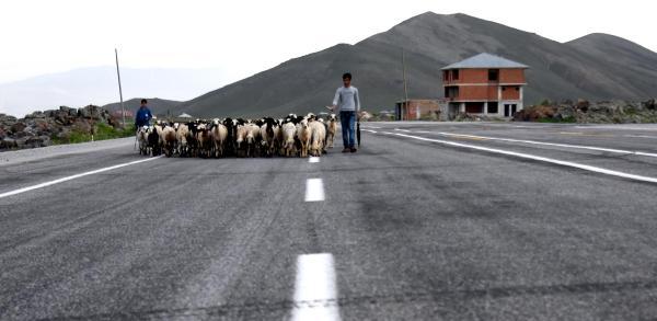 Tendürek'te eller tetikte