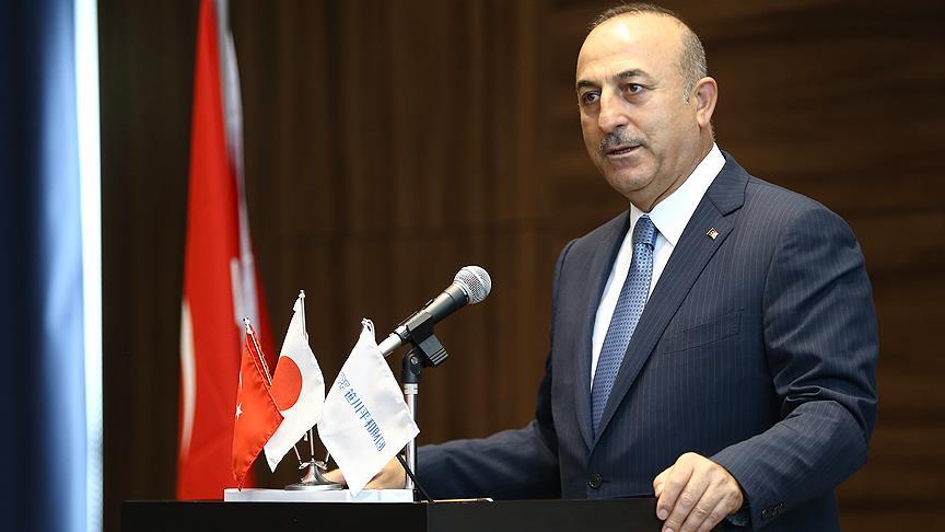 Çavuşoğlu'ndan Japonya'ya FETÖ uyarısı