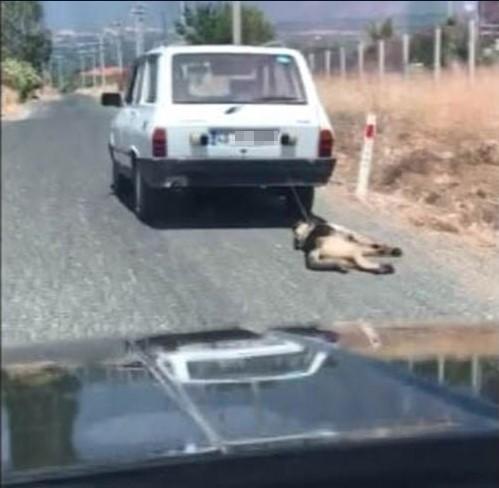 Araba arkasında köpeğini sürükleyen adama 300 TL ceza