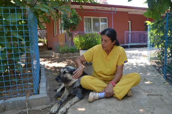 Araba arkasında köpeğini sürükleyen adama 300 TL ceza