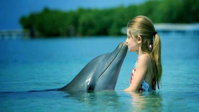 Hayvan evlat edinmek nedir