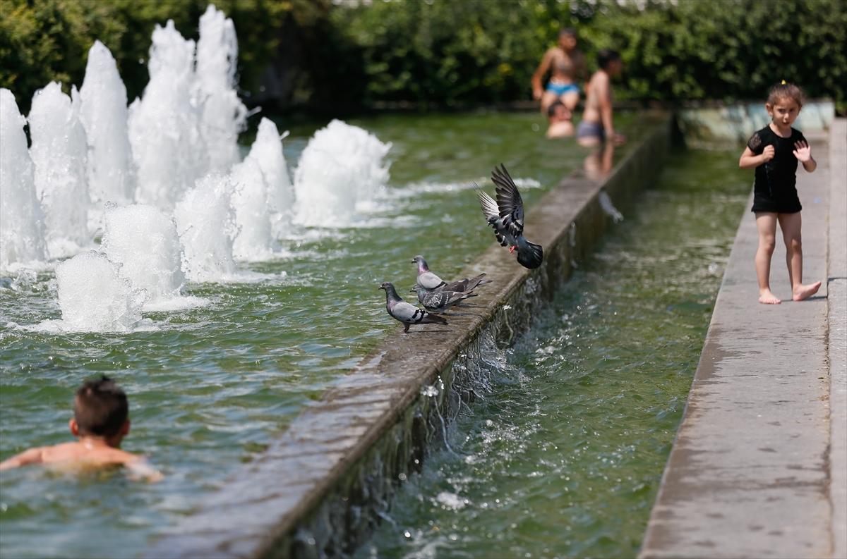 Sıcak havalarda hayvanları unutmayın