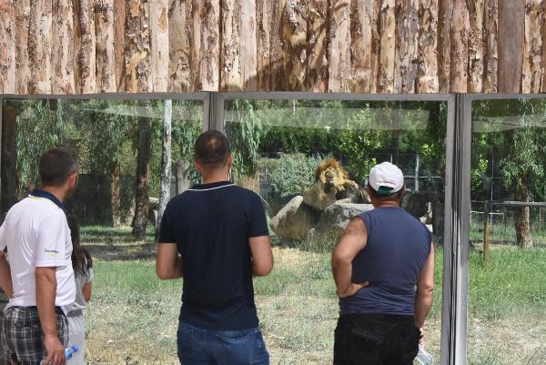 Sıcak, vahşi hayvanları da etkiledi