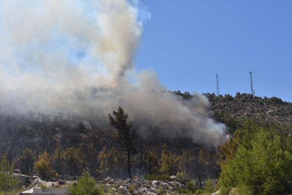 Alanya ve İzmir'de orman yangını