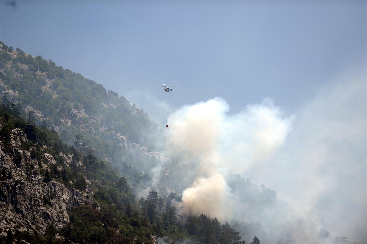 Alanya ve İzmir'de orman yangını