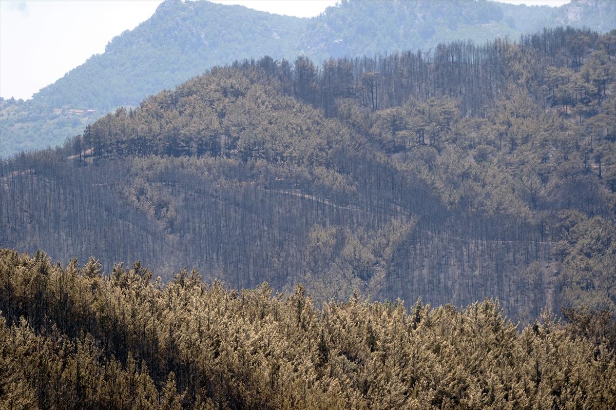 Alanya ve İzmir'de orman yangını