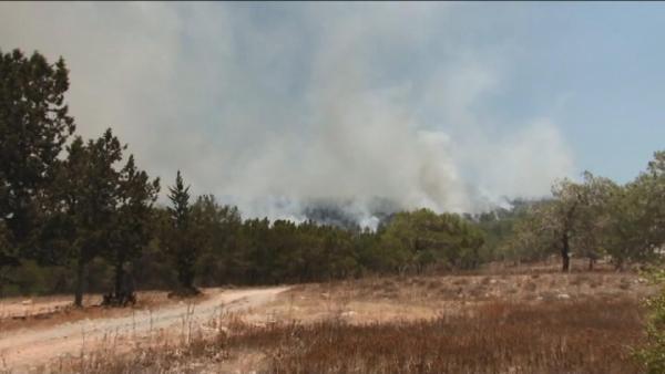 KKTC’de orman yangını