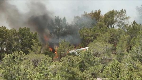 KKTC’de orman yangını