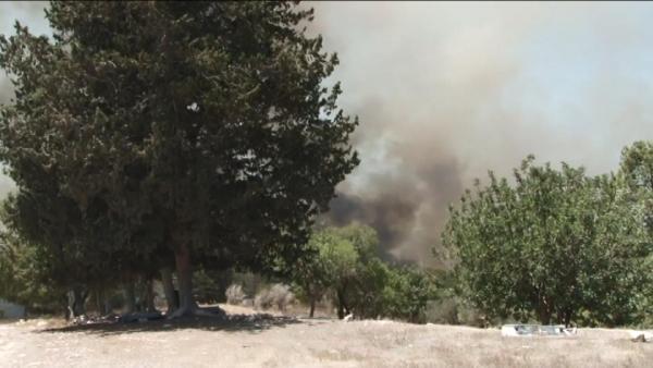 KKTC’de orman yangını