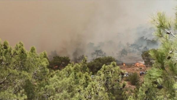 KKTC’de orman yangını