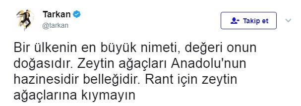 Hande Yener'den Tarkan'a zeytin ağacı göndermesi