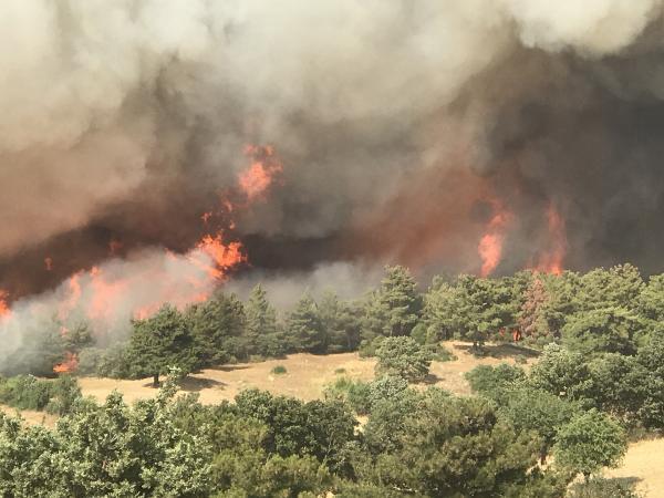 Yurt genelinde çıkan orman yangınlarında son durum