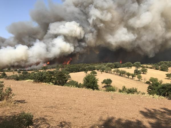 Yurt genelinde çıkan orman yangınlarında son durum
