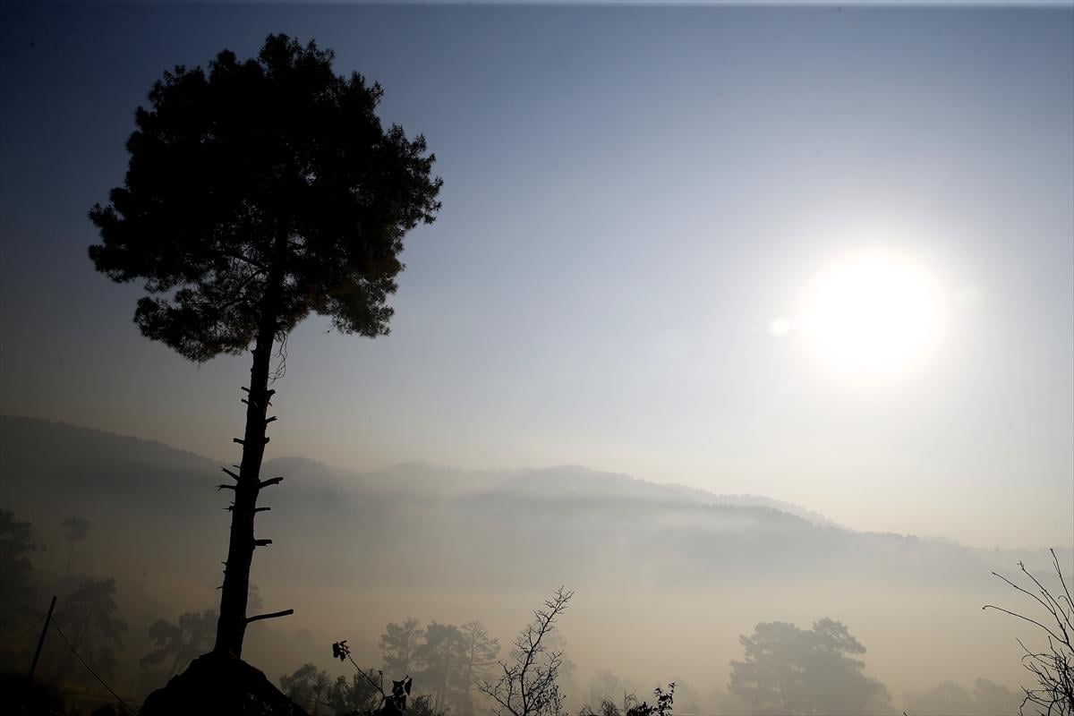 Yurt genelinde çıkan orman yangınlarında son durum