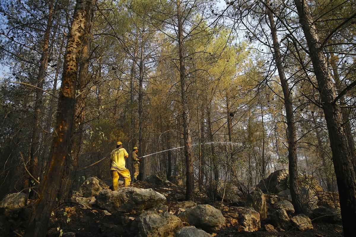 Yurt genelinde çıkan orman yangınlarında son durum