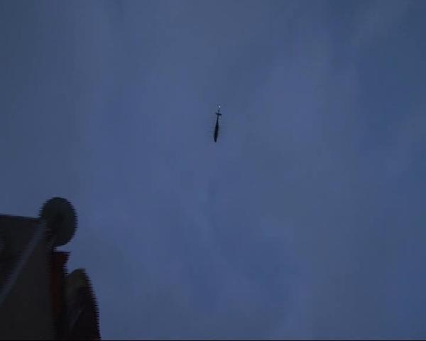 İstanbul'da bonzai operasyonu: 32 gözaltı