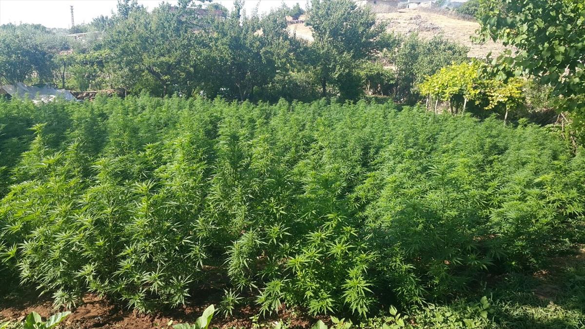 Diyarbakır'da uyuşturucu operasyonu: 10 gözaltı