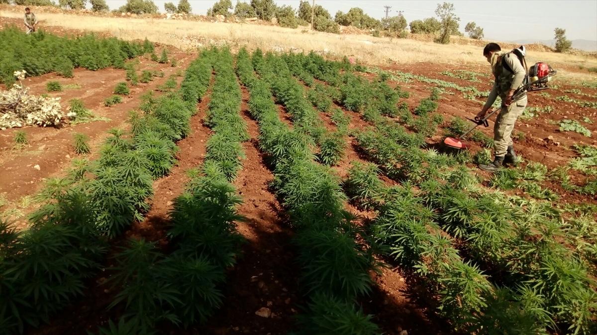 Diyarbakır'da uyuşturucu operasyonu: 10 gözaltı