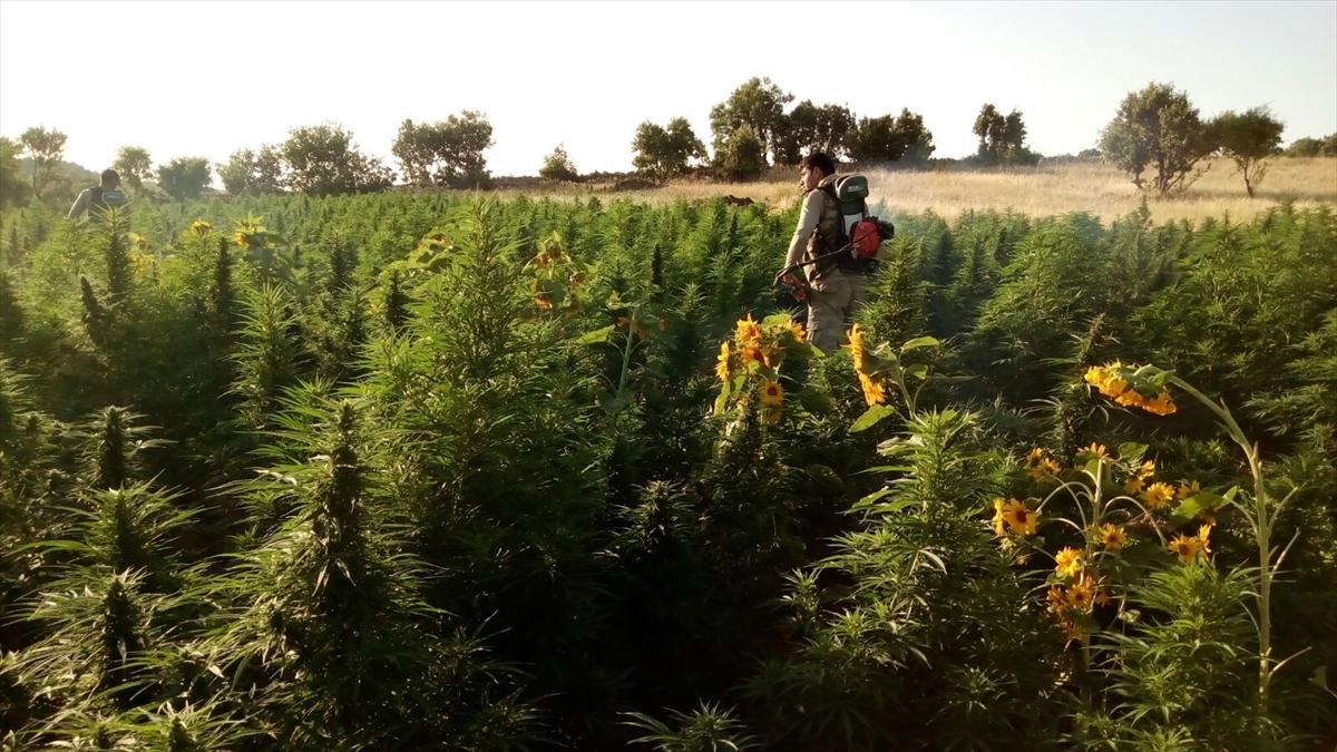 Diyarbakır'da uyuşturucu operasyonu: 10 gözaltı