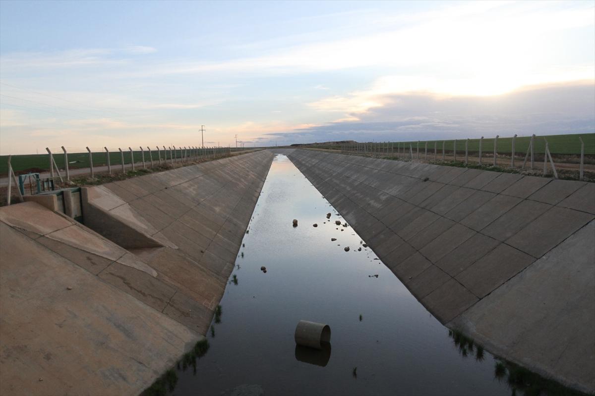 Mardin-Ceylanpınar projesinde sona doğru
