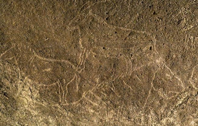 İspanya'da 14 bin yıllık hayvan resimleri bulundu