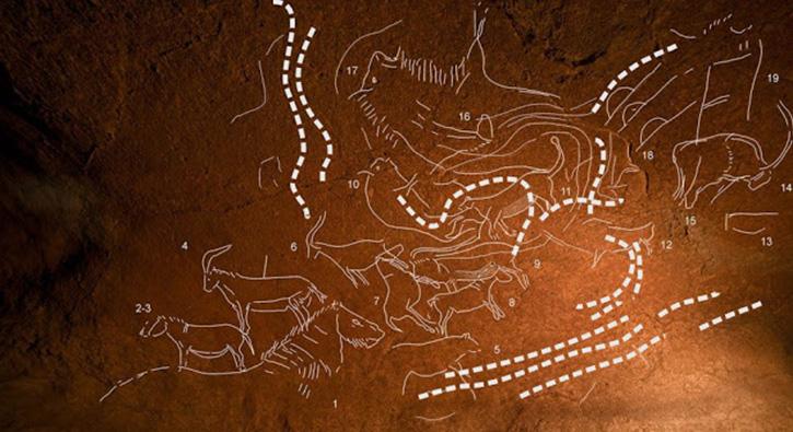 İspanya'da 14 bin yıllık hayvan resimleri bulundu