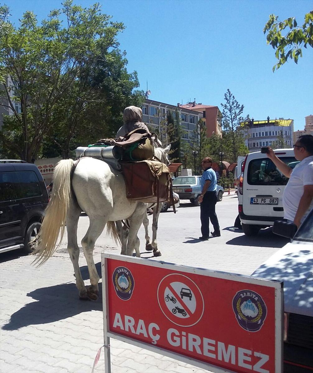 At sırtında 4 bin kilometre katetti