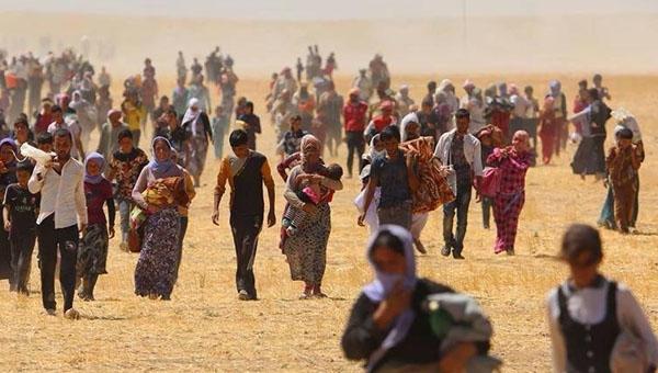 BM'nin Uluslararası Göç Örgütü raporu