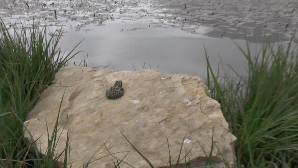 Toroslar'ın iki gizli cenneti