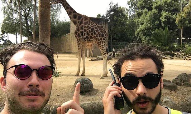 İş yeleğiyle Coldplay konserine biletsiz girdiler