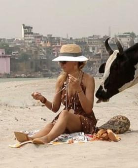 Burcu Esmersoy'u inek yaladı