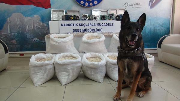 Hatay'da 13 milyon liralık captagon operasyonu