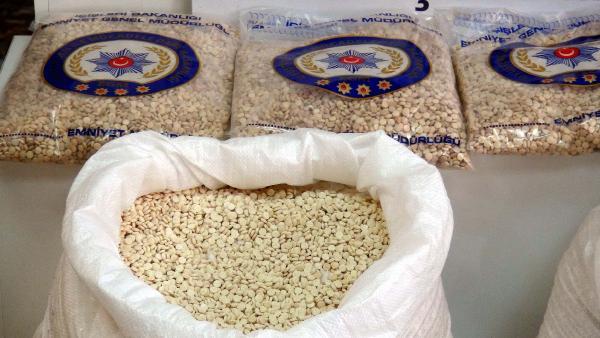 Hatay'da 13 milyon liralık captagon operasyonu