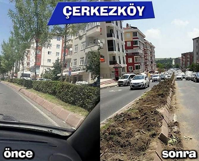 Tekirdağ'da CHP'li belediyenin ağaç katliamı sürüyor
