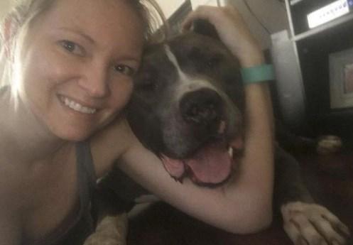 Barınağa bırakılan köpek terk edilince ağladı